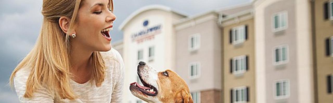 Candlewood Suites Dfw West - Hurst By Ihg Zewnętrze zdjęcie